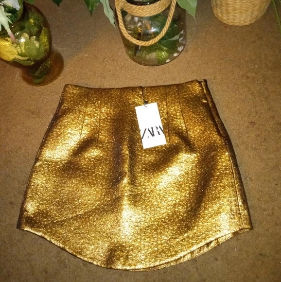Zara Dresses & Skirts - Zara skirt NWT